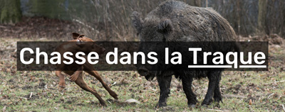 chasse dans la traque