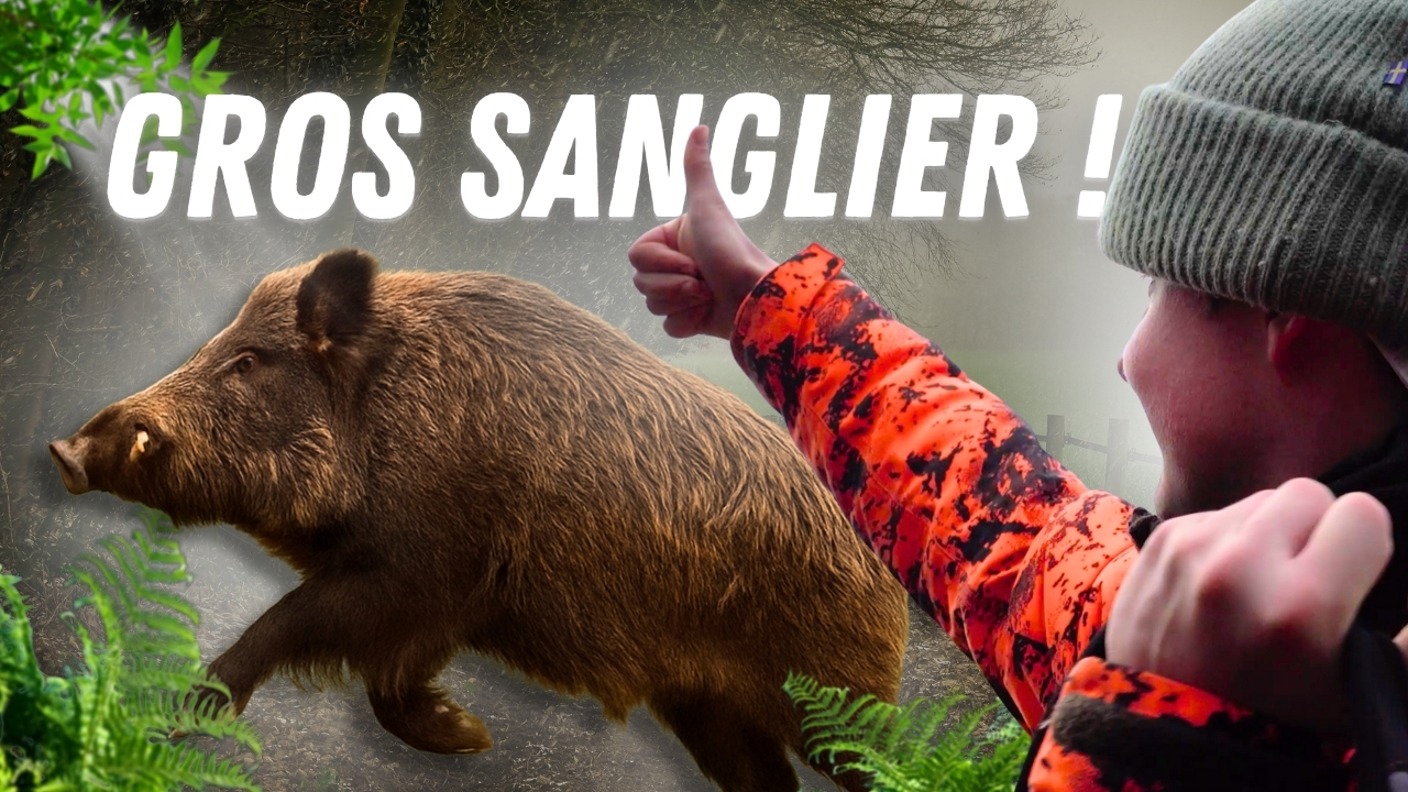Gros Sangliers en Plaine - Test Matriel Chasse Addict