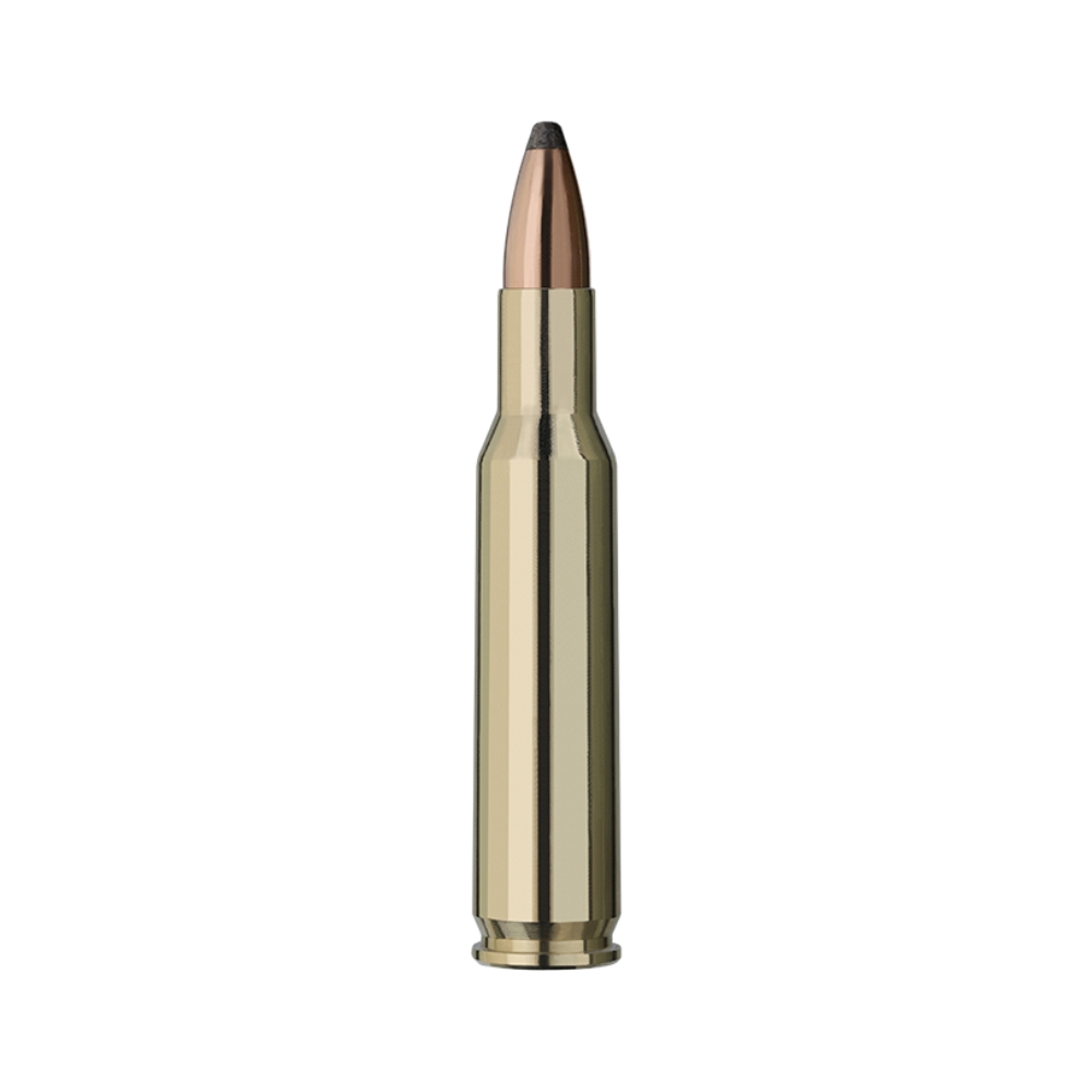 Munitions RWS .222 Rem TMS (Teilmantel Spitz) 3,24g - Boite de 20