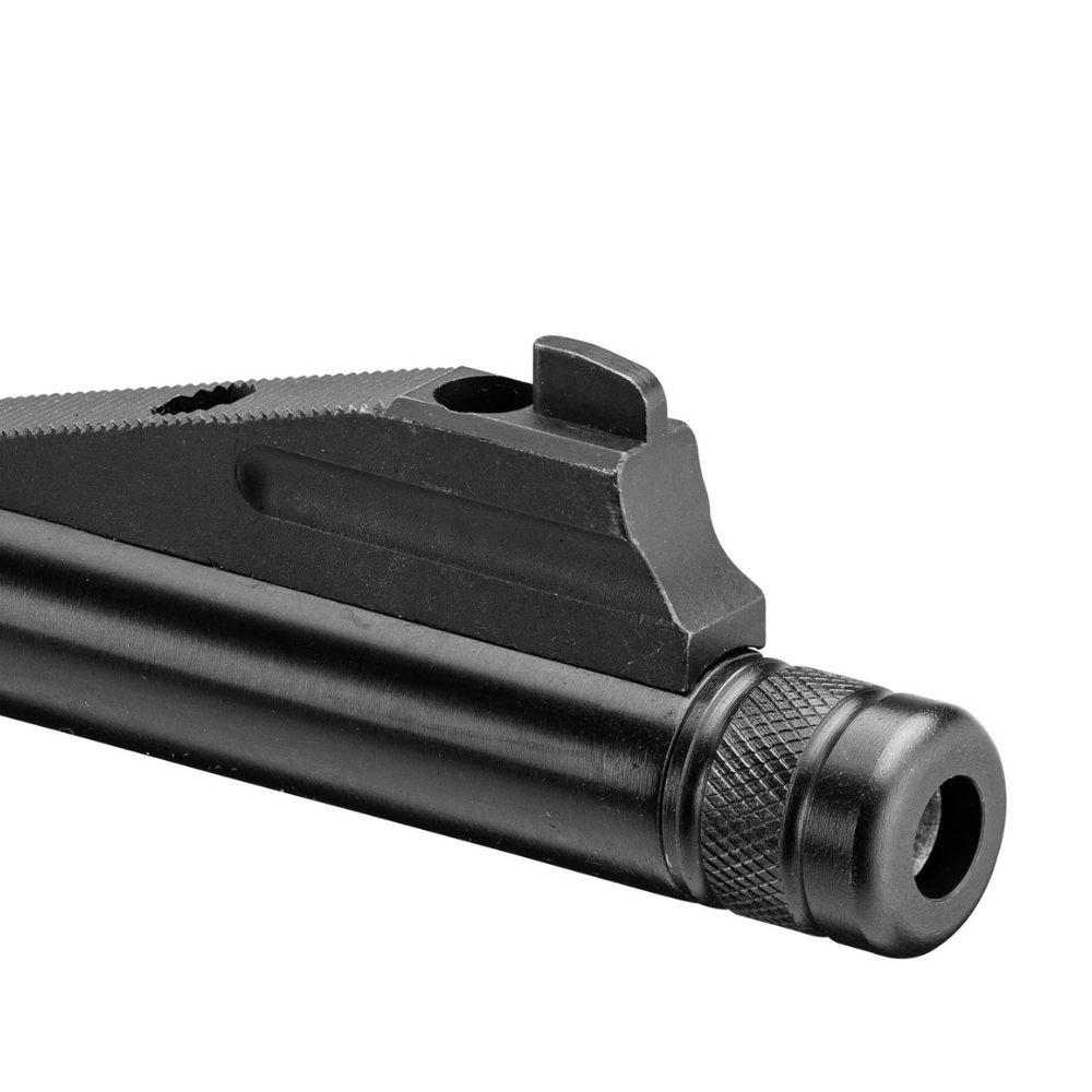 Pack Bolt Action 22LR + Lunette + Fourreau + Silencieux 