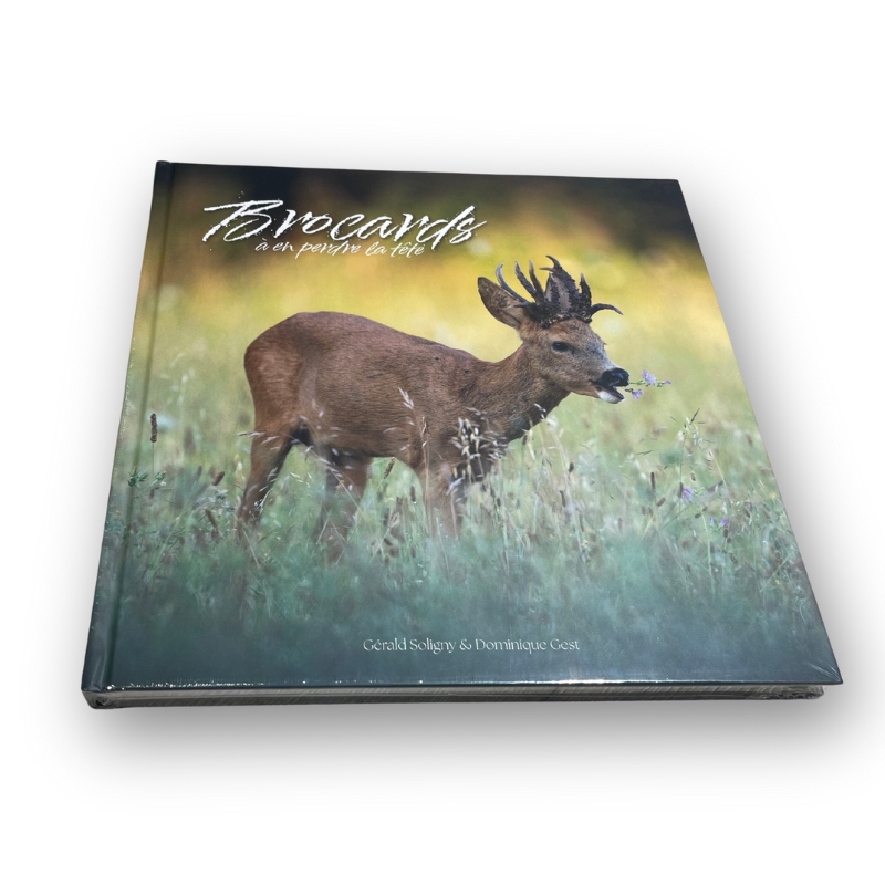 Livre : Brocards  en perdre la tte