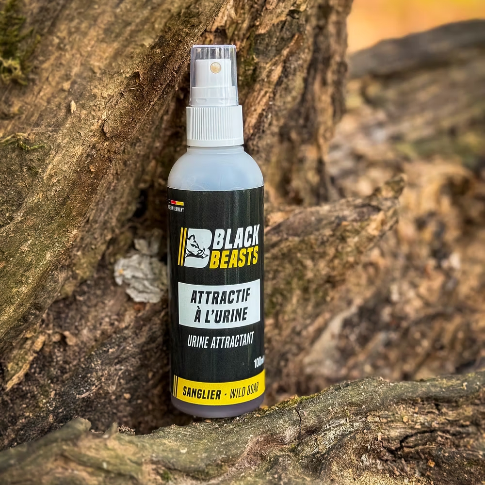 Urine de laie en chaleur / Attractant Sanglier Efficace - Black Beasts