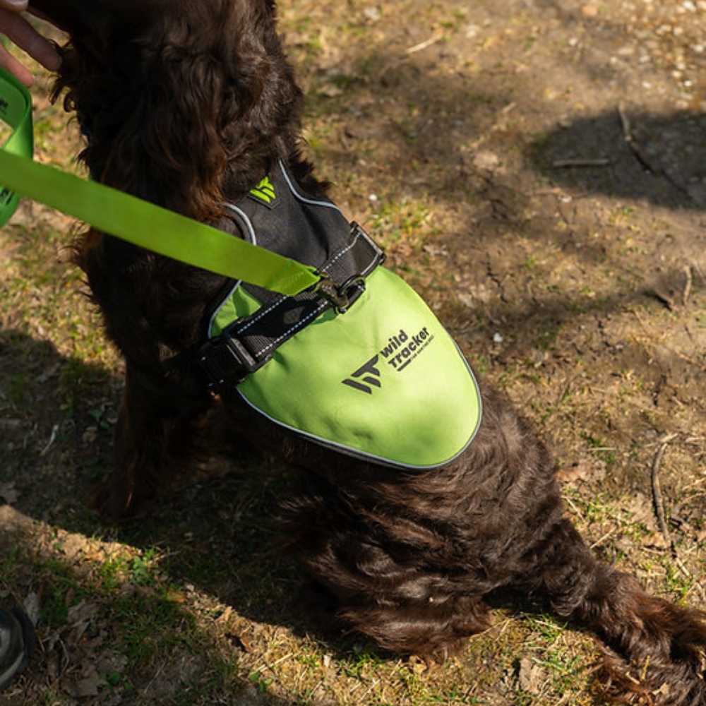 Harnais Chien X-COLOR Wild Tracker - Anti-Traction & Confort