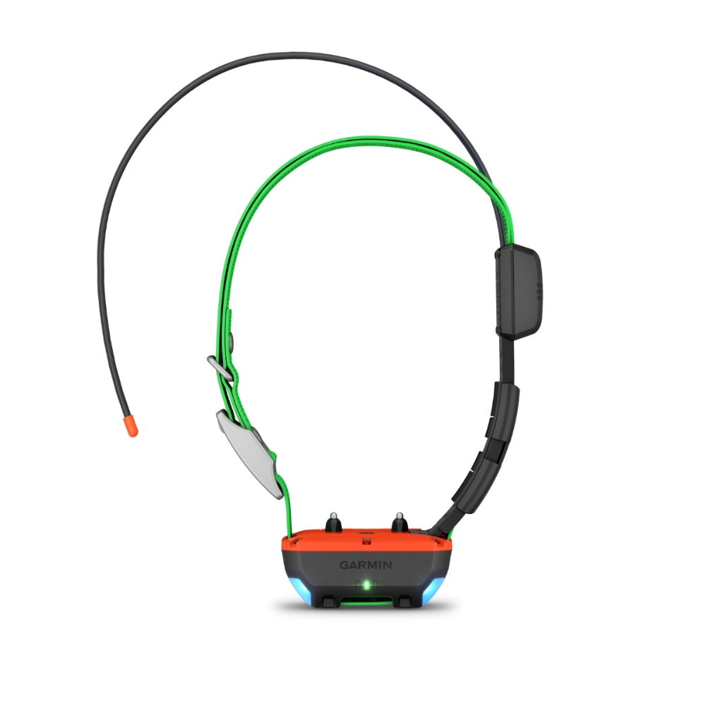 Pack Chasse GPS Garmin Alpha 300F / TT25F : Reprage et Dressage