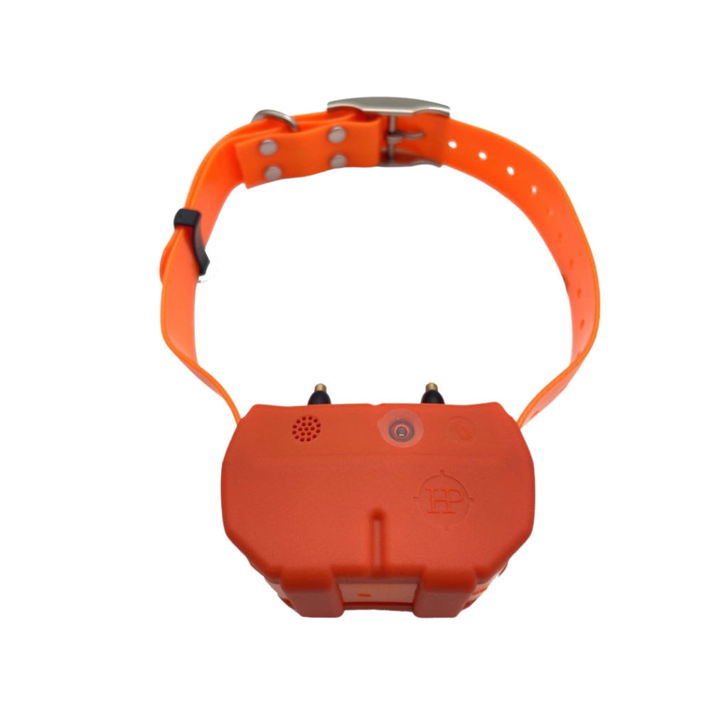 Collier GPS Chasse 4G DOGZE : Rep�rage et Dressage Illimit� - HuntPower