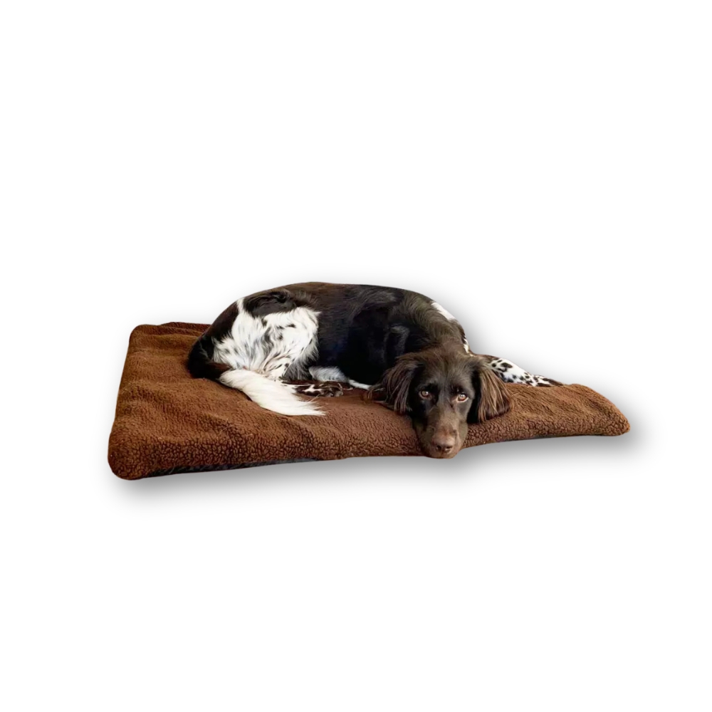 Coussin pour Chien Argali brun - Blaser