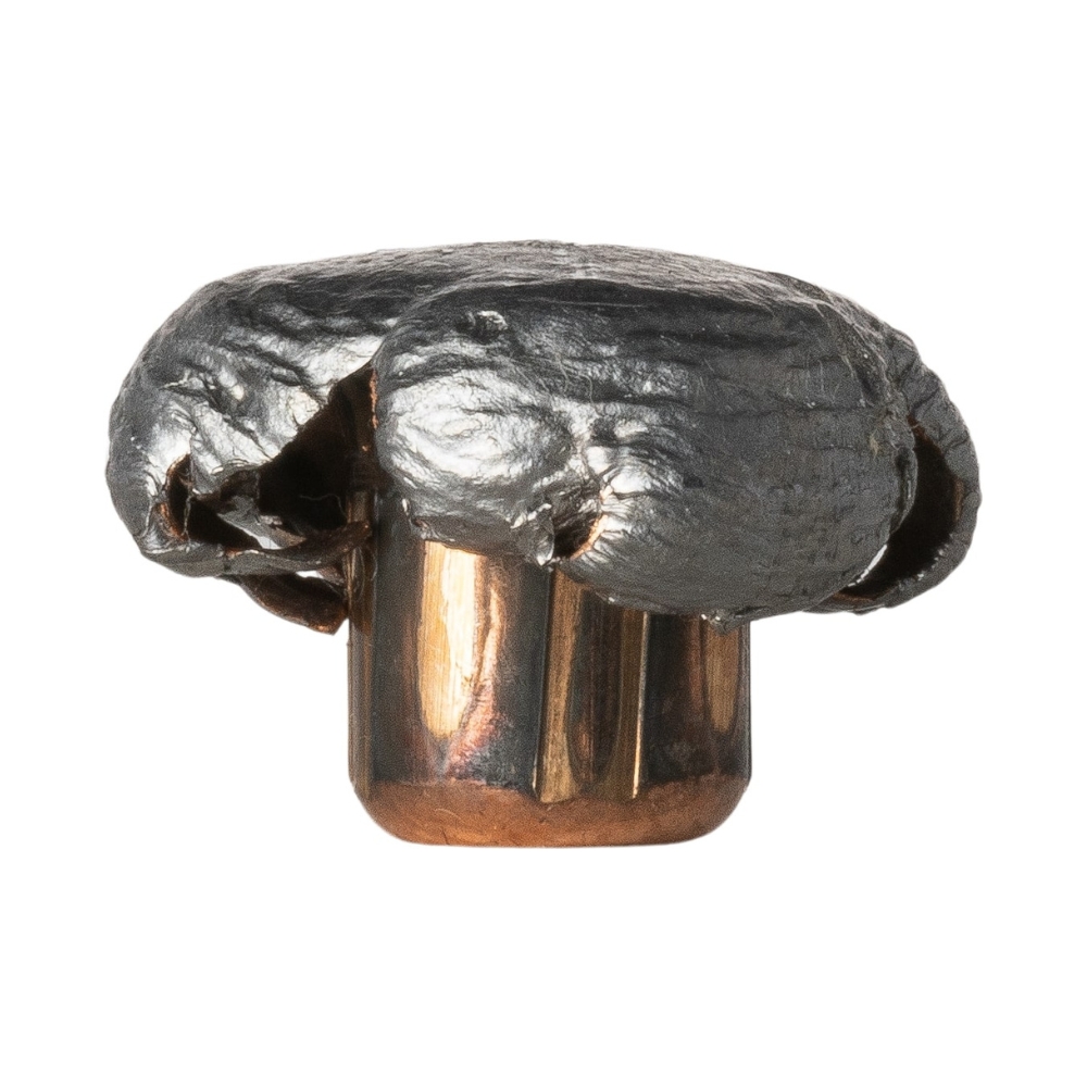 Munitions Norma 30-06 Springfield Oryx 180gr (11,7g) - Boite de 20