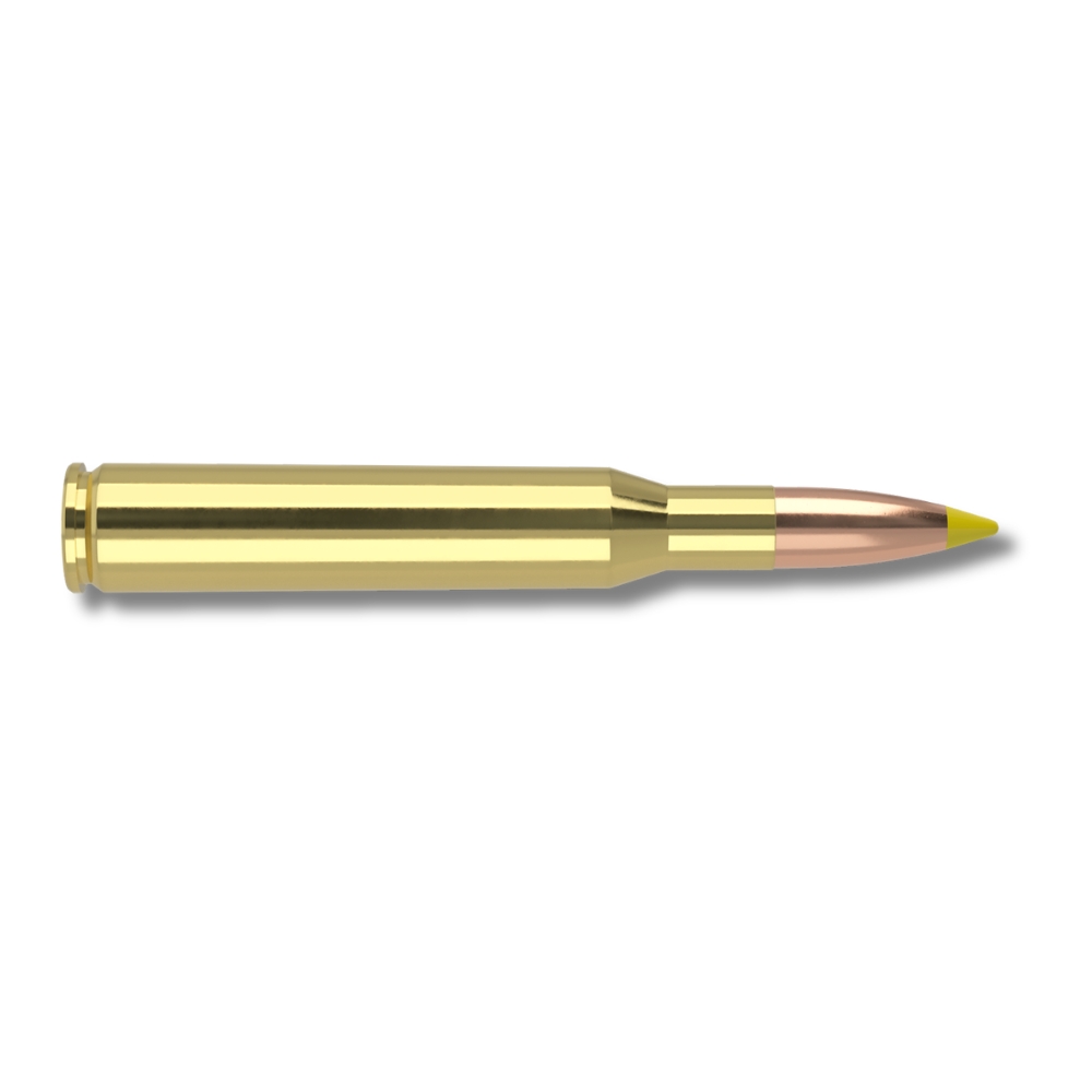 Munitions Nosler .270 Win Ballistic Tip 140 Gr 9,1g - Boite de 20