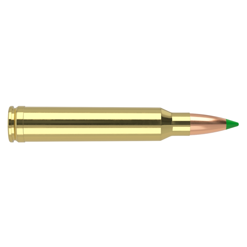 Munitions Nosler .300 Win Mag Ballistic Tip 180Gr 11,7g - Bte 20