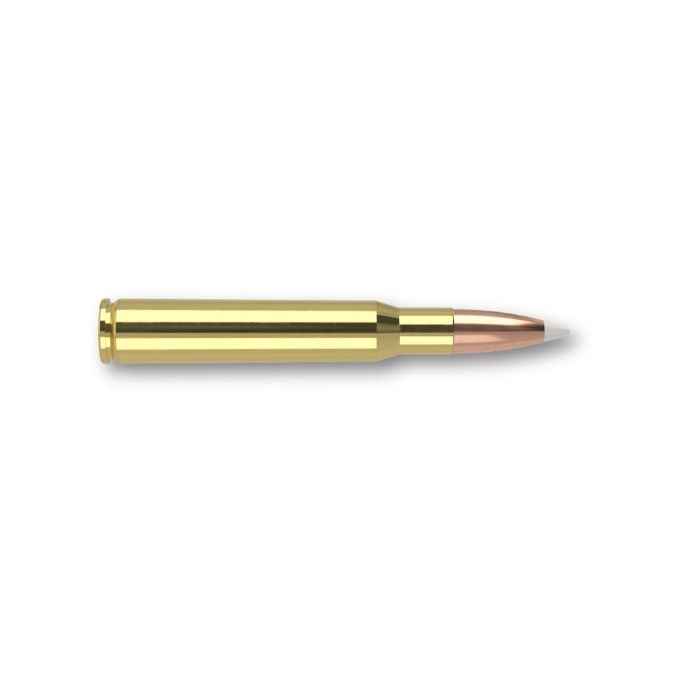 Munitions Nosler 30-06 Springfield AccuBond 180gr - Bte 20