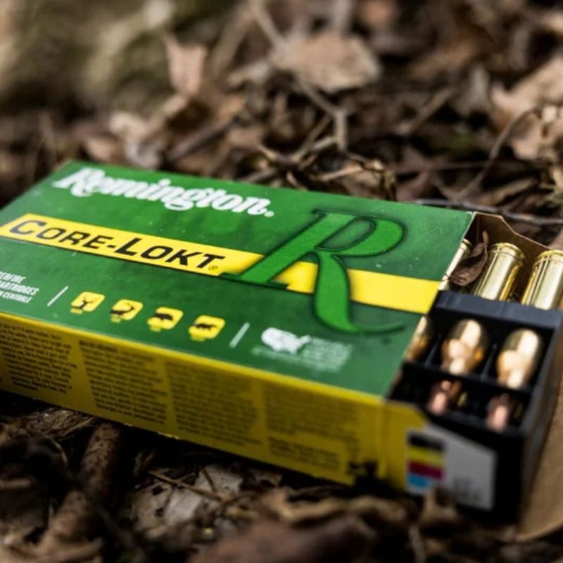 Balles Remington .35 Whelen PSP Core-Lokt 250gr x20