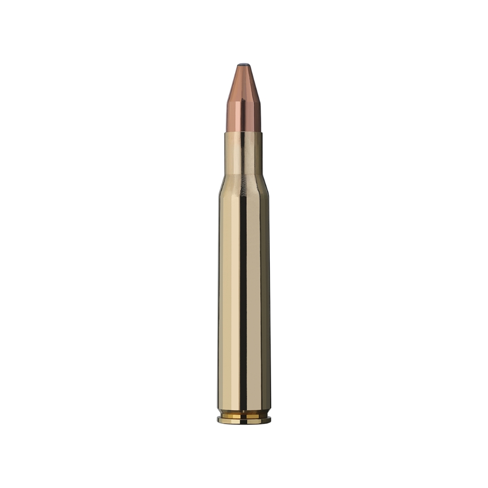 Munitions RWS .30-06 Springfield KS 10,7g 165 Gr - Boite de 20