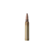 Munitions GECO .300 Win Mag Soft Point 11,0 g - 170 gr - Bte 20