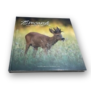 Livre : Brocards à en perdre la tête