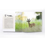 Livre : Brocards à en perdre la tête