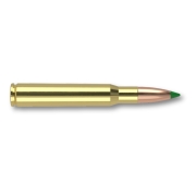 Munitions Nosler 30-06 Springfield Ballistic Tip 180Gr 11,7g - Bte 20