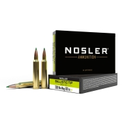Munitions Nosler .300 Win Mag Ballistic Tip 180Gr 11,7g - Bte 20