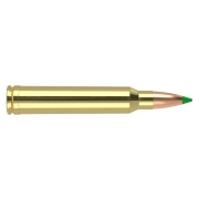 Munitions Nosler .300 Win Mag Ballistic Tip 180Gr 11,7g - Bte 20