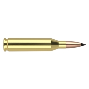 Munitions Nosler .243 Win Varmageddon 55gr - Boite de 20