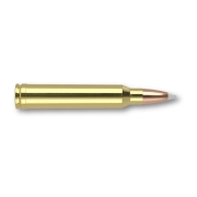 Munitions Nosler .300 Win Mag AccuBond 180gr - Boite de 20