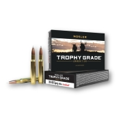Munitions Nosler 30-06 Springfield AccuBond 180gr - Bte 20